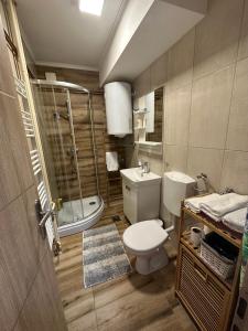 een badkamer met een toilet, een wastafel en een douche bij STUDIO APARTMAN PAVIĆ in Vinkovci