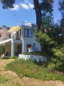 Budova, kde se vila nachází