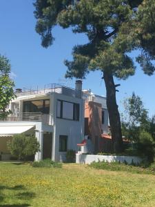 Budova, kde se vila nachází