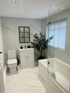 a bathroom with a toilet and a sink and a shower at Coastal Apartments No 2 in Seaham