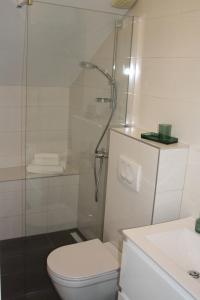 a bathroom with a shower and a toilet and a sink at Apartments Grković Trsteno Adventure Experience Accommodation 1 in Dubrovnik