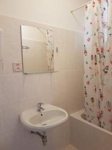 a bathroom with a sink and a shower curtain at Apartments Grković Trsteno Adventure Experience Accommodation 1 in Dubrovnik