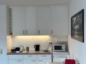 Kuchyň nebo kuchyňský kout v ubytování Studio Apartment near Linz Main Train Station