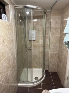 a shower with a glass door in a bathroom at Super spacious, Grnd Floor Flat in London