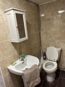 a bathroom with a white toilet and a sink at Super spacious, Grnd Floor Flat in London