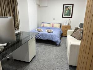 a bedroom with a bed and a desk and a couch at Super spacious, Grnd Floor Flat in London