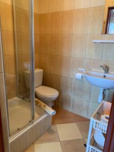 a bathroom with a shower and a toilet and a sink at Villa Malva in Karwia +28 photos
