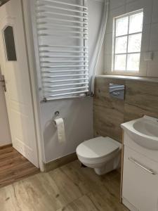 Ten Dom في مينززدرويه: حمام مع مرحاض ومغسلة ونافذة