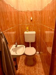 bagno con servizi igienici e lavandino di Rose Vip Apartman a Hajdúszoboszló