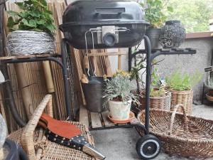 a grill on a patio with potted plants at Instytut Zdrowia i Hortiterapii in Mrągowo