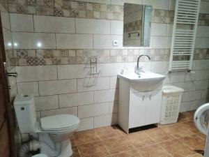 a bathroom with a toilet and a sink at Agroturystyka u podnóża Gór Sowich in Pieszyce