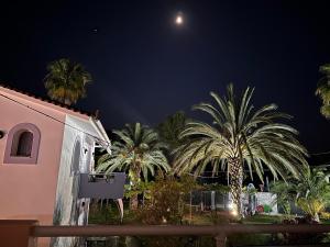 a night time view of palm trees and a building at 7Syn7 in Oreoi