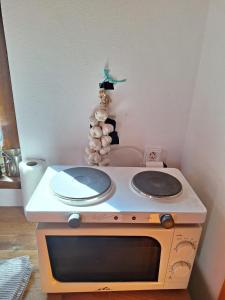 a stove with two plates on top of it at Sunset House Piestany Bungalow in Banka