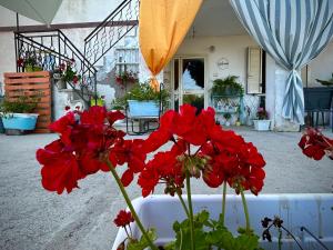 Zahrada ubytování La Collina in una Stanza - Atessa