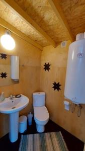 a bathroom with a toilet and a sink at Intsu Royal Kadakametsa Glämp in Liiva
