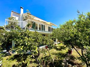 a house on a hill with trees in front of it at Perla & Palma in Zaboric