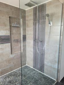 een douche met een glazen deur in de badkamer bij Les Jacynthes in Colmar