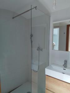 a bathroom with a glass shower and a sink at Apartamentos & Rooms Santiaguiño in Padrón