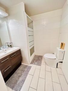 La salle de bains blanche est pourvue de toilettes et d'un lavabo. dans l'établissement Appartement de Standing Aux Portes de Paris, à Nogent-sur-Marne