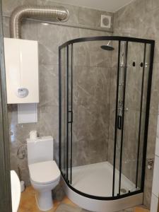 a bathroom with a shower and a toilet at Apartament nad Węgorapą in Węgorzewo