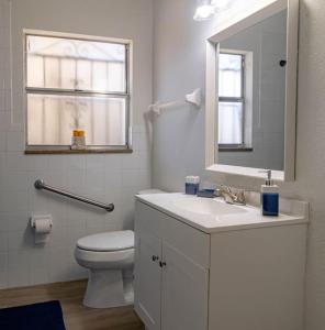 a bathroom with a toilet and a sink and a mirror at Cozy 3Bdr home in the heart of Tampa in Tampa