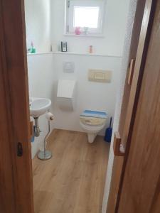 a small bathroom with a toilet and a sink at Haus zur Sonne in Lindenberg im Allgäu