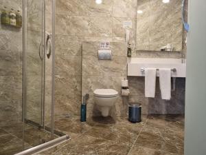 a bathroom with a toilet and a sink and a shower at Mia Berre Hotels in Istanbul