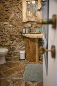 Baño de piedra con lavabo y aseo en IL NIDO DI MATILDE _monolocale design sul fiume_, en Rossena