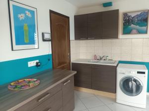 a kitchen with a washing machine and a sink at Au chant des mandarins 2 gites de 15 personnes et un 3ème gite à proximité de 12 in Charmes