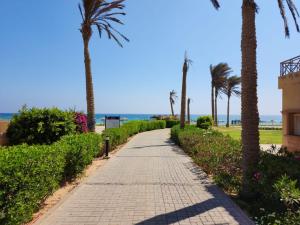 a brick pathway with palm trees and the beach at LA vista topaz in Ain Sokhna