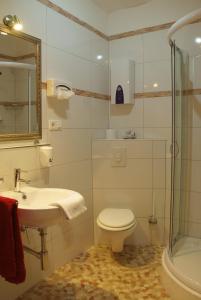 ein Bad mit einem WC, einem Waschbecken und einer Dusche in der Unterkunft Hotel Monopol in Gelsenkirchen