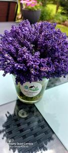 un vaso pieno di fiori viola su un tavolo di Nad Potokiem a Grąziowa