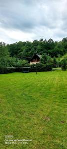 un grande campo verde con una casa sullo sfondo di Nad Potokiem a Grąziowa