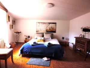 - une chambre avec un grand lit et une couverture bleue dans l'établissement Armonia edificio storico del 1563., à Cevio