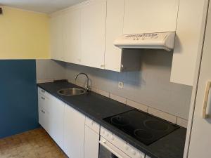 a small kitchen with white cabinets and a sink at Armonia edificio storico del 1563. in Cevio