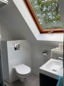 a bathroom with a toilet and a sink at Pensjonat Margo in Karwieńskie Błoto Drugie