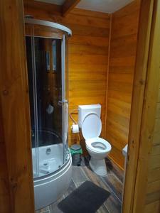 W łazience znajduje się toaleta i przeszklony prysznic. w obiekcie Tiny H w mieście Ocnele Mari