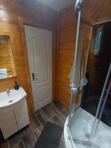 a bathroom with a shower and a sink at Tiny H in Ocnele Mari