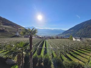 Gallery image of Oberangerhof in Lagundo