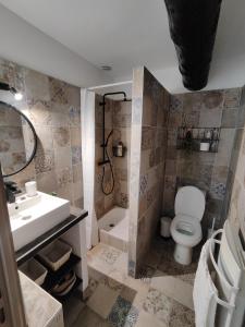 uma casa de banho com um WC, um lavatório e um chuveiro em Appartement de Charme L'Isle-sur-la-Sorgue sur la Sorgues em LʼIsle-sur-la-Sorgue