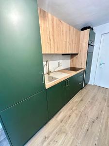 a kitchen with green cabinets and a sink at Somptueux studio de 17m2 Bernex in Bernex +7 photos