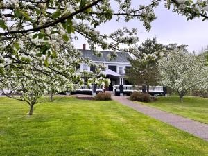 a large white house with a lawn and trees at Ceilidh Country Lodge in Baddeck