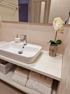 La salle de bains est pourvue d'un lavabo et d'un vase de fleurs sur un comptoir. dans l'établissement ORI Classy Apart Malul Mureșului, à Arad