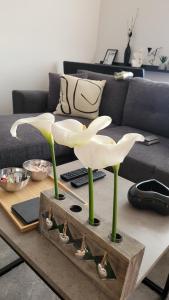 A seating area at Apartman Riva