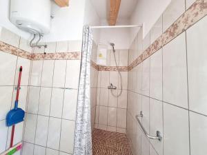 ein Bad mit Dusche und Duschvorhang in der Unterkunft Stone House Mate in Rovinjsko Selo + 9 Fotos