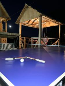 a blue ping pong table with a ball on it at Guest House Karati in Khulo