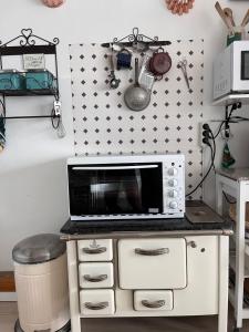 eine Mikrowelle auf einer Theke in einer Küche in der Unterkunft Appartement Hüttenzauber in Sankt Englmar in Sankt Englmar
