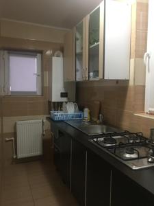 Kuchyň nebo kuchyňský kout v ubytování Cazare la mare vila Constanta