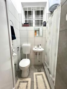 een kleine badkamer met een toilet en een wastafel bij Apartman Centar in Sarajevo