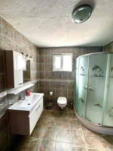 e bagno con doccia, servizi igienici e lavandino. di Villa Misli - Heart of Dalyan and Newly Renovated a Dalyan